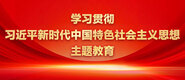 白丝喷水白虎穴学习贯彻习近平新时代中国特色社会主义思想主题教育_fororder_ad-371X160(2)